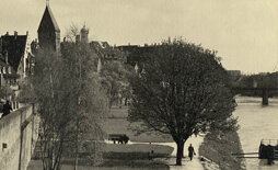 Ulm an der Donau